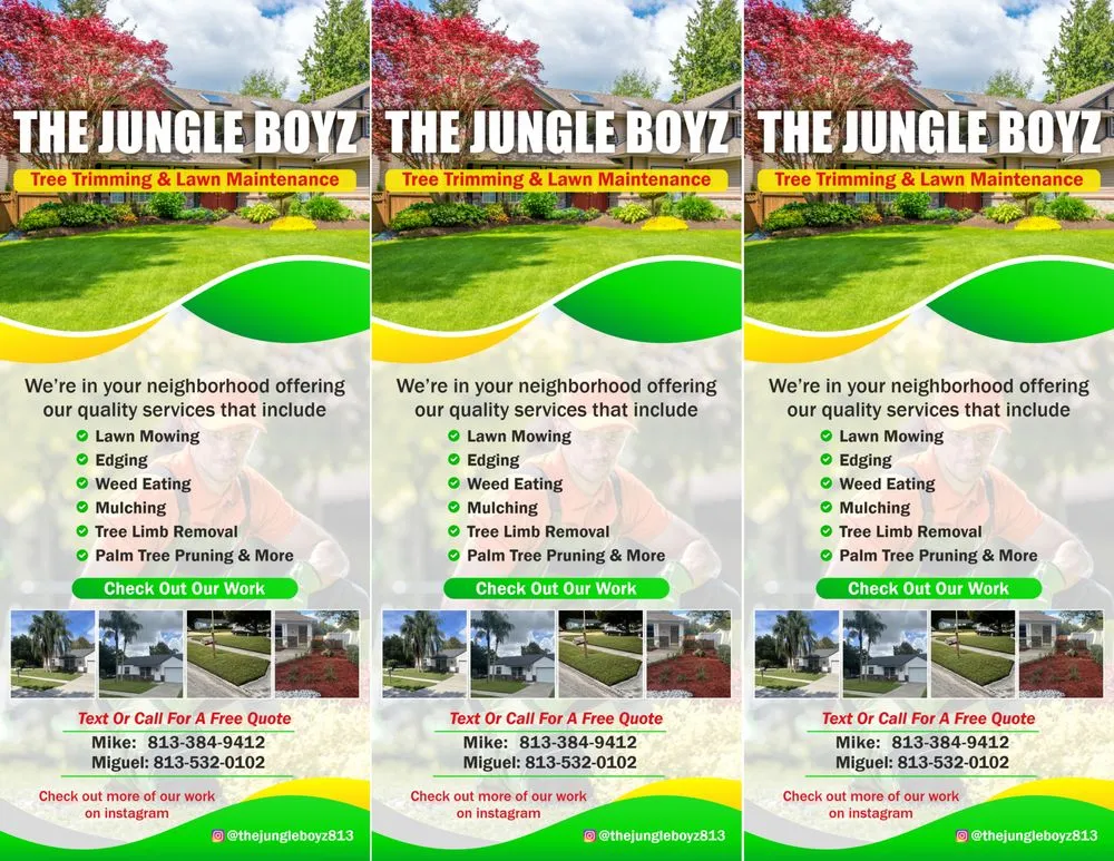 Affordable landscape design experts serving TEMPLE TERR, FL - The Jungle Boyz
