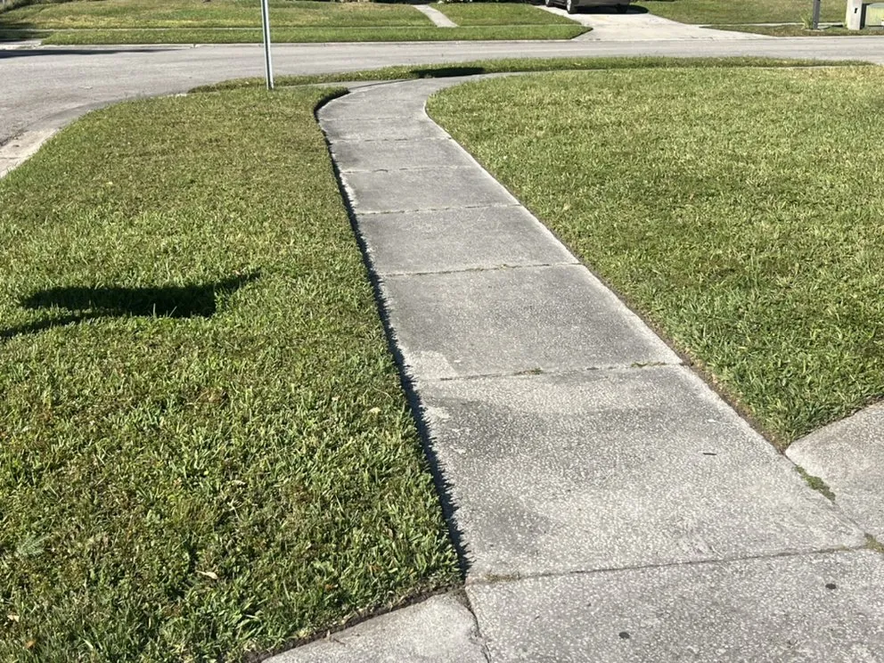 Affordable landscaping services for outdoor upgrades in TEMPLE TERR, FL by The Jungle Boyz