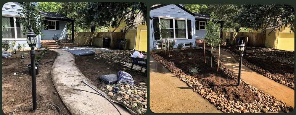 Expert yard maintenance in Longmont, CO - The Jungle Landscape and Design