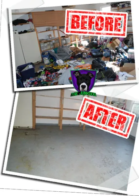 Reliable yard maintenance experts serving Youngsville, NC - The JunkDog