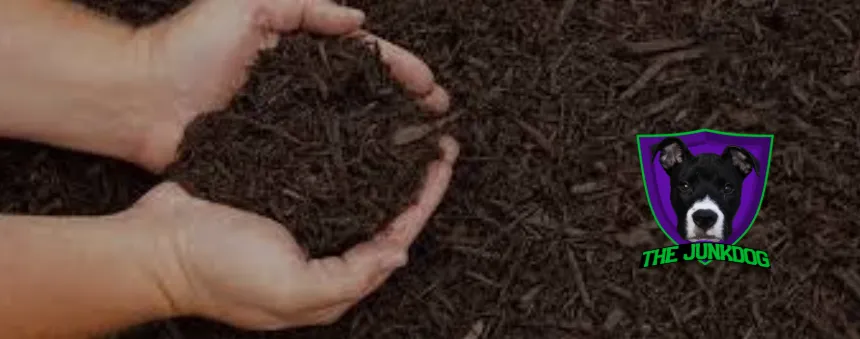 Local lawn care service for year-round maintenance in Youngsville, NC by The JunkDog