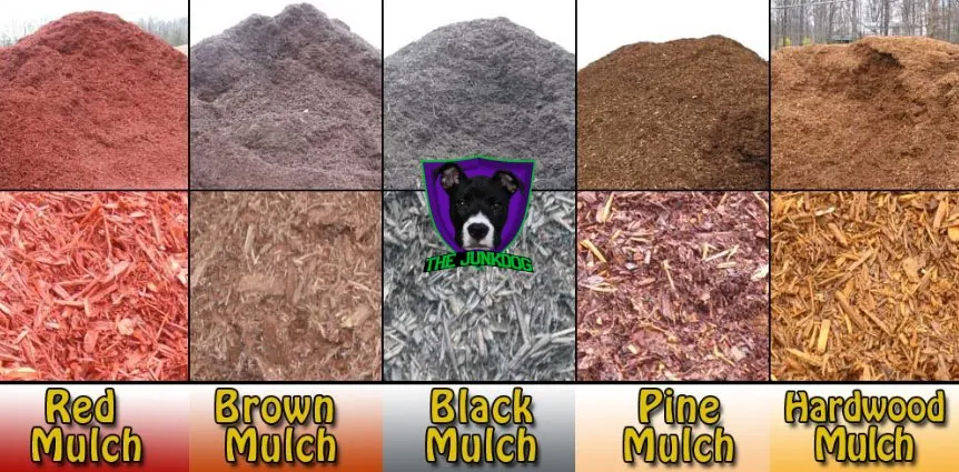 Local yard cleanup service in Youngsville, NC - The JunkDog