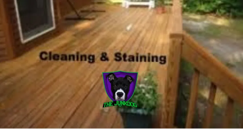 Trusted yard cleanup service experts serving Youngsville, NC - The JunkDog