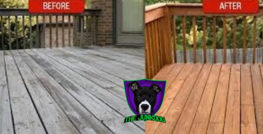 Expert yard maintenance in Youngsville, NC - The JunkDog