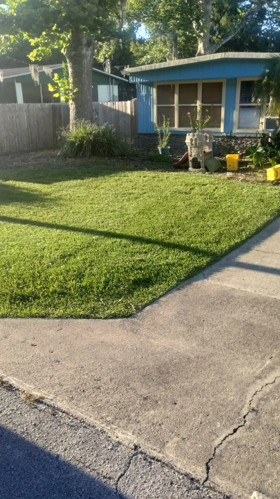 Professional outdoor landscaping in Tavares, FL by The Kadyebo Way