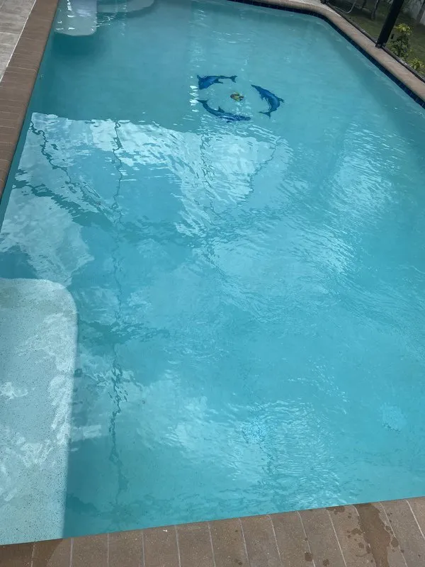 Custom garden landscaping in Fort Myers, FL - The Kendricks Pool & Lawn Service