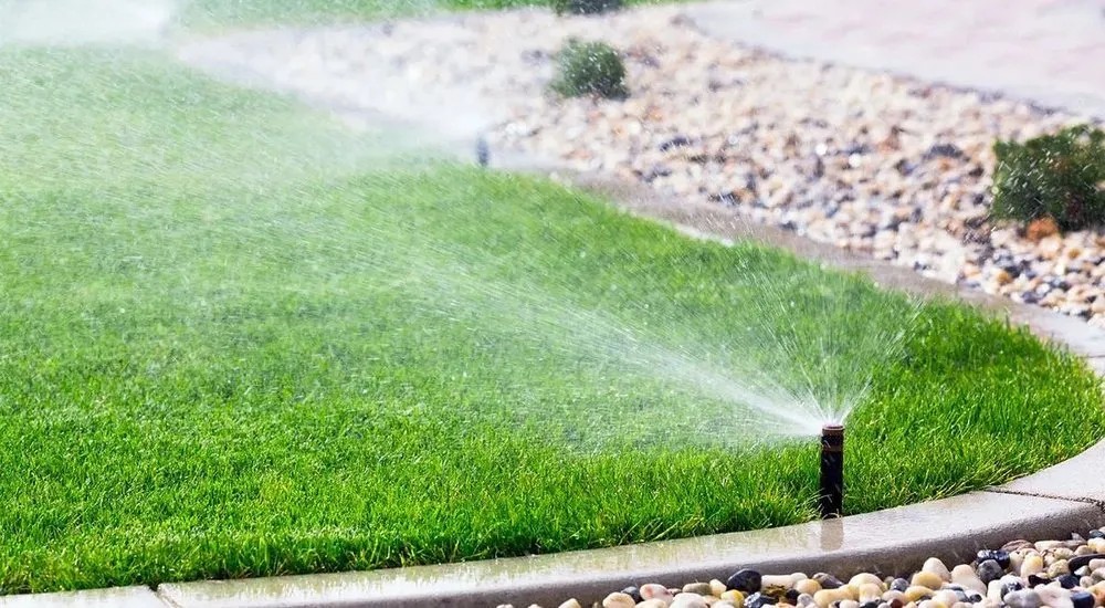 Trusted lawn mowing service for beautiful yards in Sarasota, FL by The Key Gardener