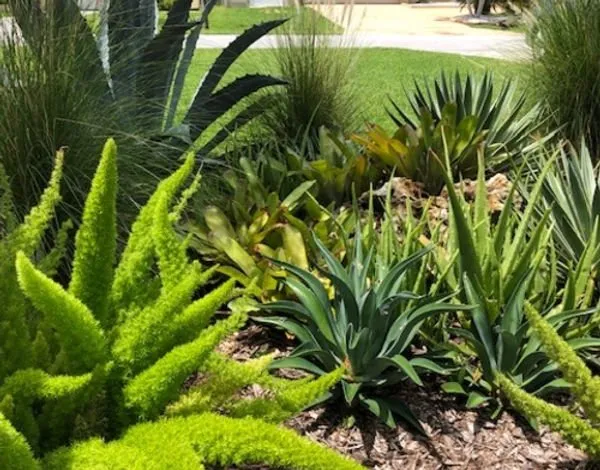 Affordable landscape installation for year-round maintenance across Sarasota, FL - The Key Gardener