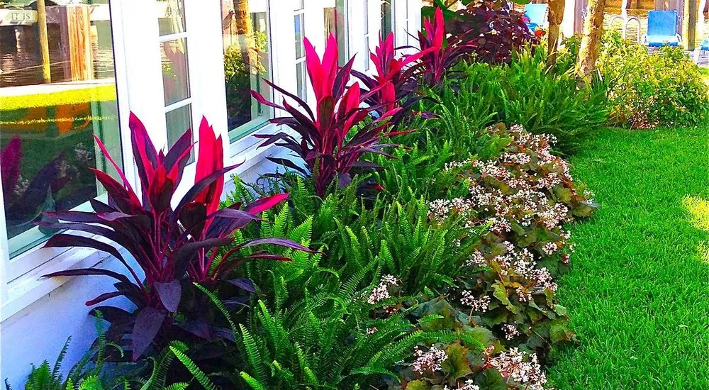 Custom lawn mowing service for residential properties in Sarasota, FL by The Key Gardener