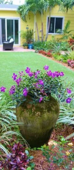 Reliable landscaping services in Sarasota, FL by The Key Gardener