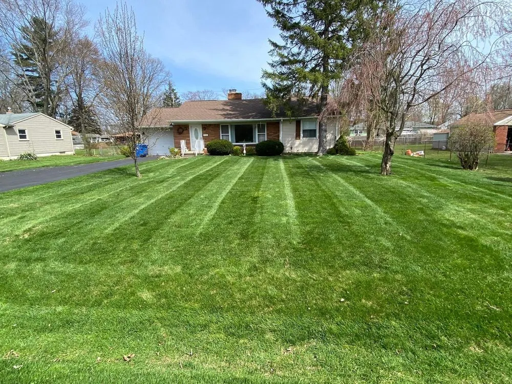 Affordable landscape installation in Pontiac, MI by The Key To Home-Improvement