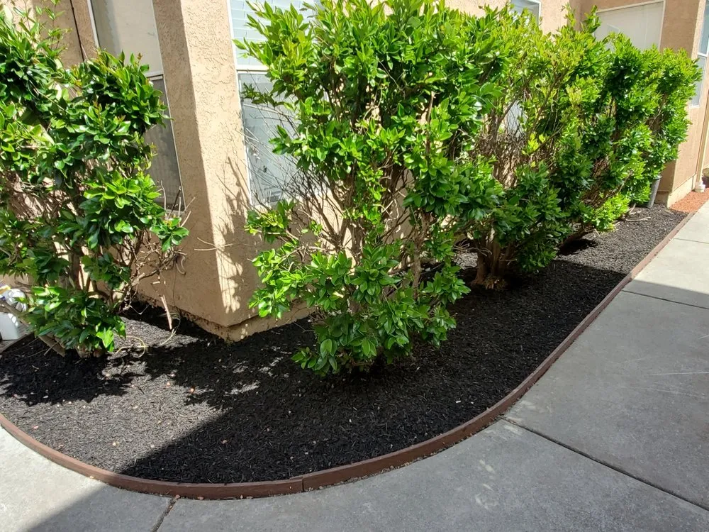 Expert lawn care service for residential properties across Santa Clara, CA - The King Gardening Service