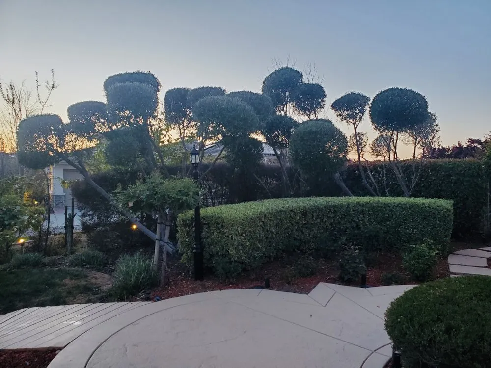 Professional garden landscaping for homes in Santa Clara, CA by The King Gardening Service