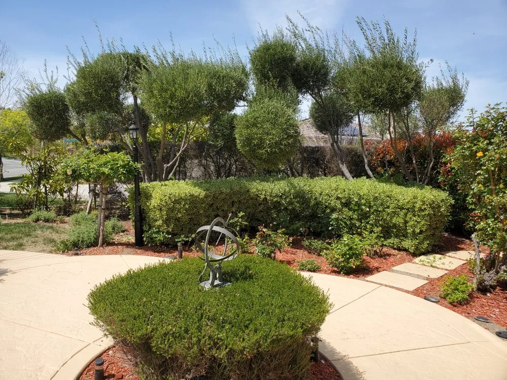Top-rated garden landscaping for year-round maintenance in Santa Clara, CA by The King Gardening Service