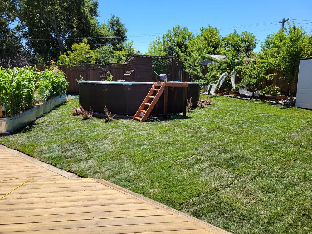 Local yard maintenance experts serving Santa Clara, CA - The King Gardening Service