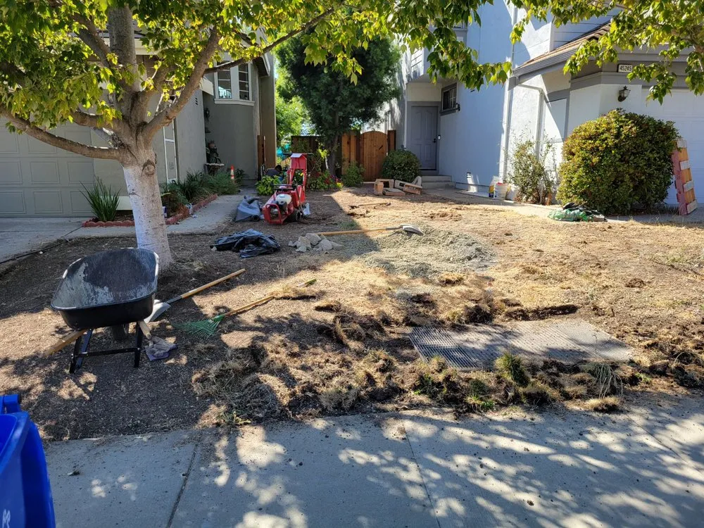 Professional yard maintenance experts serving Santa Clara, CA - The King Gardening Service