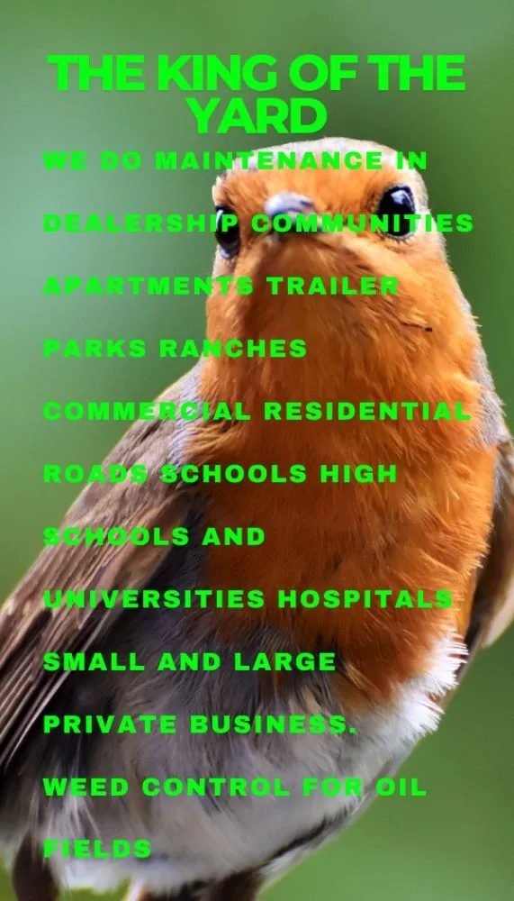 Trusted landscape design in Ault, CO - The King of the Yard