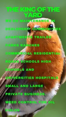 The King of the Yard