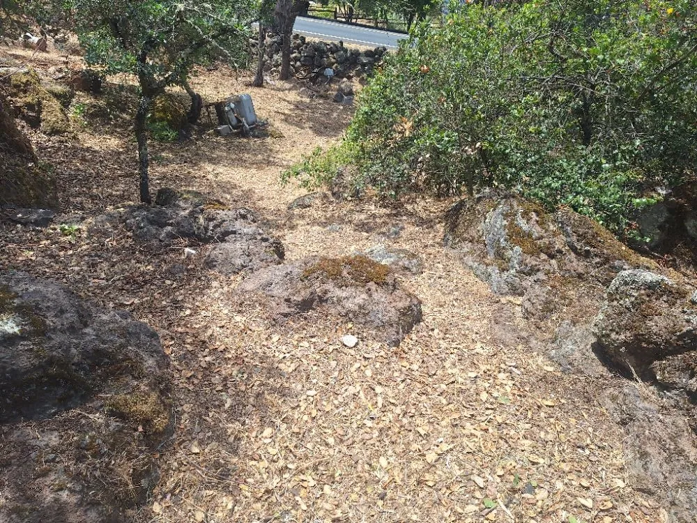 Trusted outdoor landscaping in Fairfield, CA - The Kings of the Garden