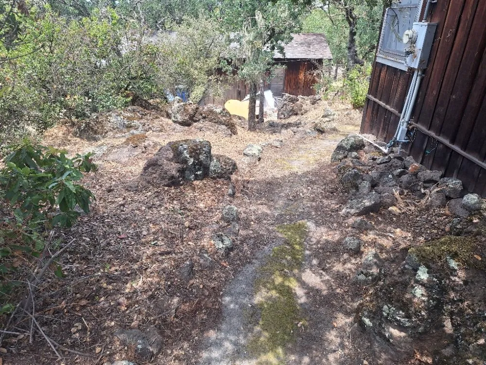 Professional landscaping services for homes across Fairfield, CA - The Kings of the Garden