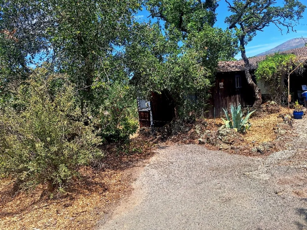 Top-rated yard maintenance with custom design in Fairfield, CA by The Kings of the Garden