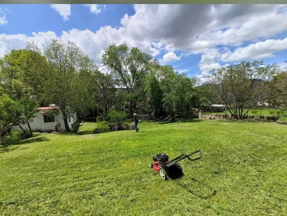 Affordable garden landscaping experts serving Fairfield, CA - The Kings of the Garden