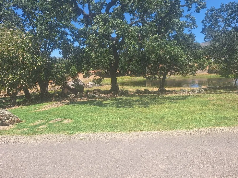 Professional outdoor landscaping in Fairfield, CA by The Kings of the Garden