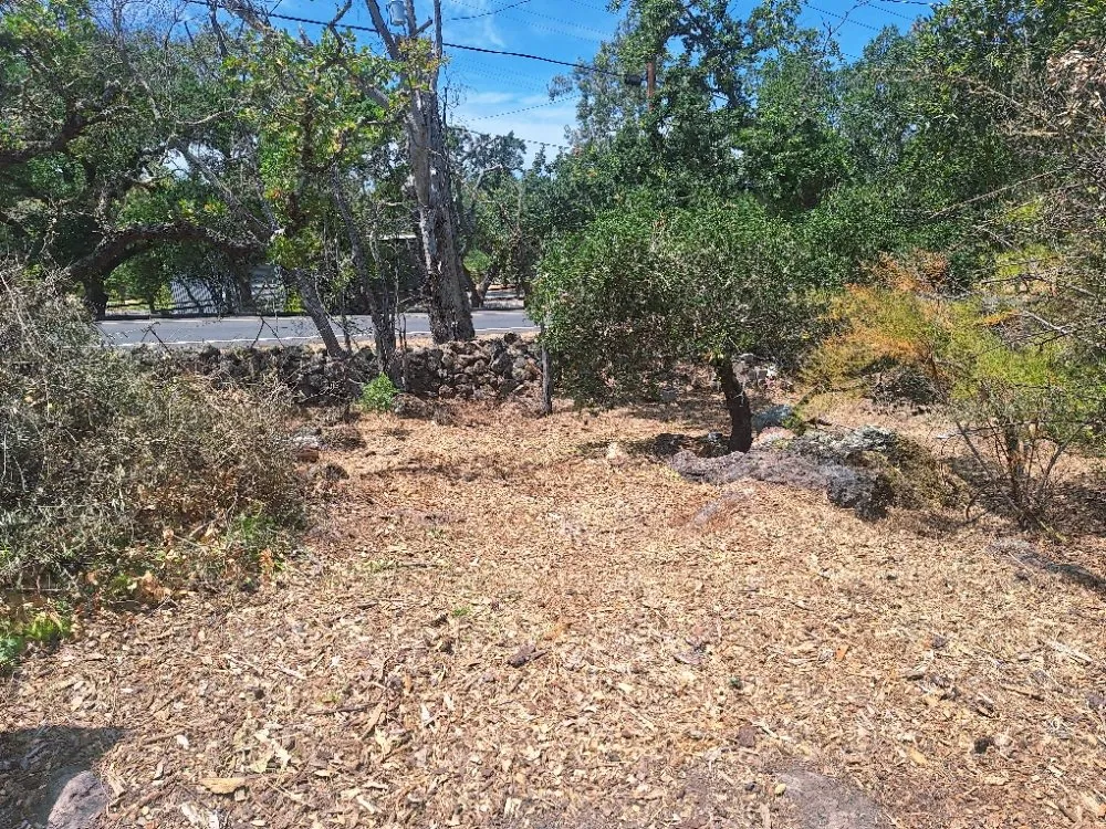 Trusted yard cleanup service near you across Fairfield, CA - The Kings of the Garden