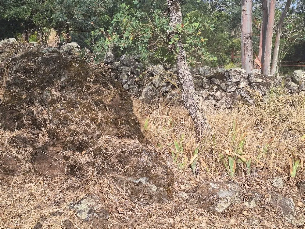 Trusted outdoor landscaping for beautiful yards in Fairfield, CA by The Kings of the Garden