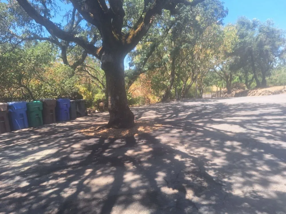 Expert lawn care service in Fairfield, CA by The Kings of the Garden