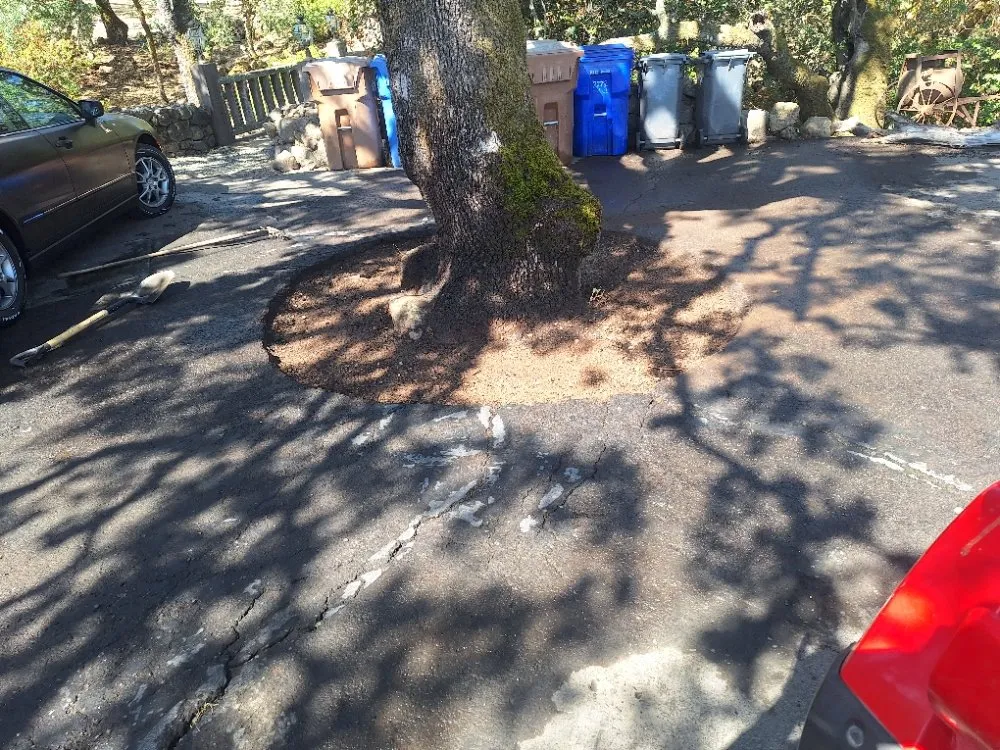 Top-rated landscape design for outdoor upgrades in Fairfield, CA by The Kings of the Garden