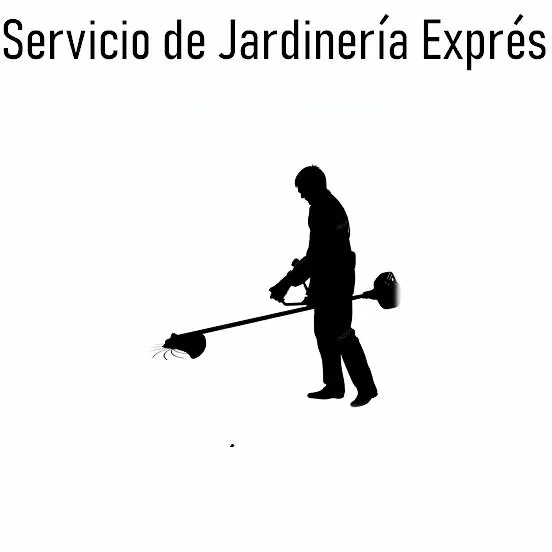 Reliable landscape design for year-round maintenance in Fairfield, CA by The Kings of the Garden