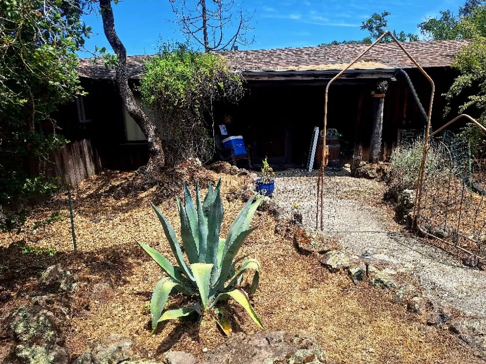 Reliable garden landscaping experts serving Fairfield, CA - The Kings of the Garden