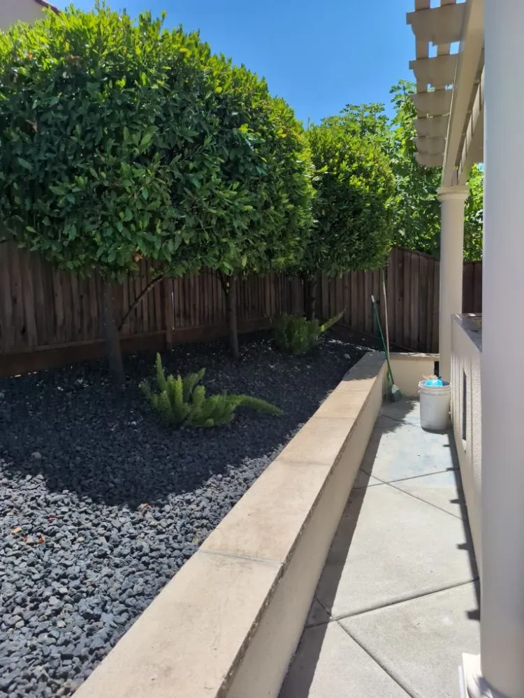 Local residential landscaping in Vacaville, CA - The Kings Of The Gardens