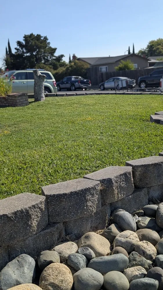 Reliable lawn mowing service in Vacaville, CA by The Kings Of The Gardens