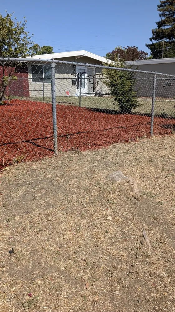 Local yard cleanup service in Vacaville, CA - The Kings Of The Gardens