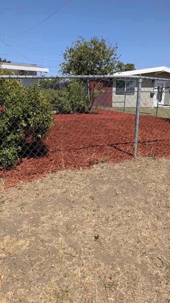 Affordable landscape design in Vacaville, CA by The Kings Of The Gardens