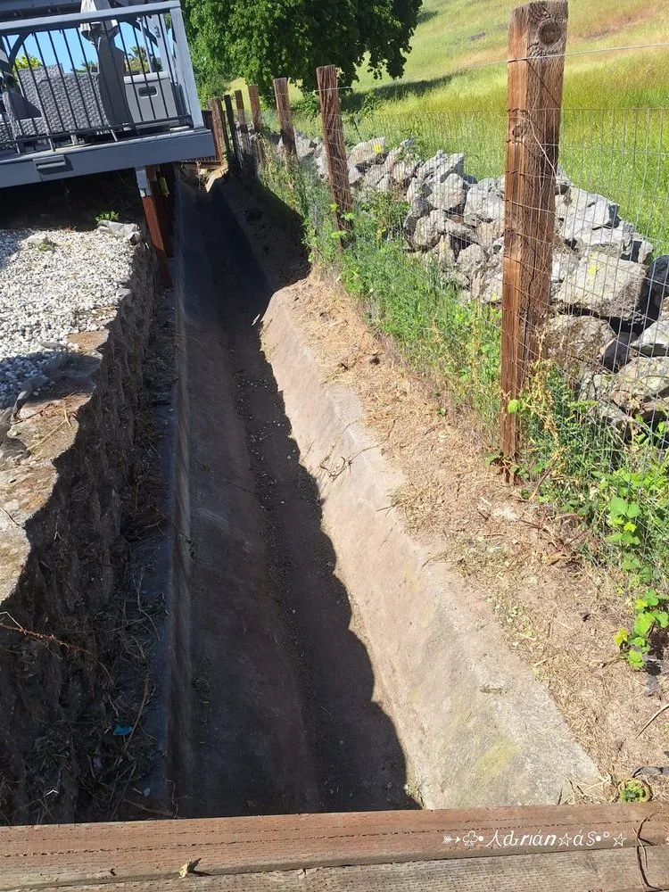 Expert yard cleanup service in Vacaville, CA - The Kings Of The Gardens