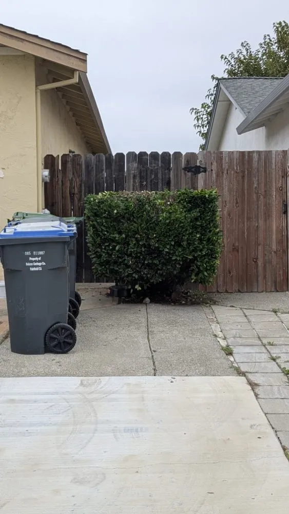 Trusted yard cleanup service in Vacaville, CA by The Kings Of The Gardens