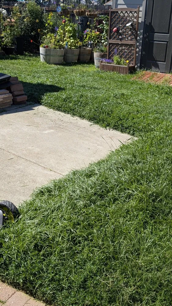 Expert lawn mowing service for residential properties in Vacaville, CA by The Kings Of The Gardens