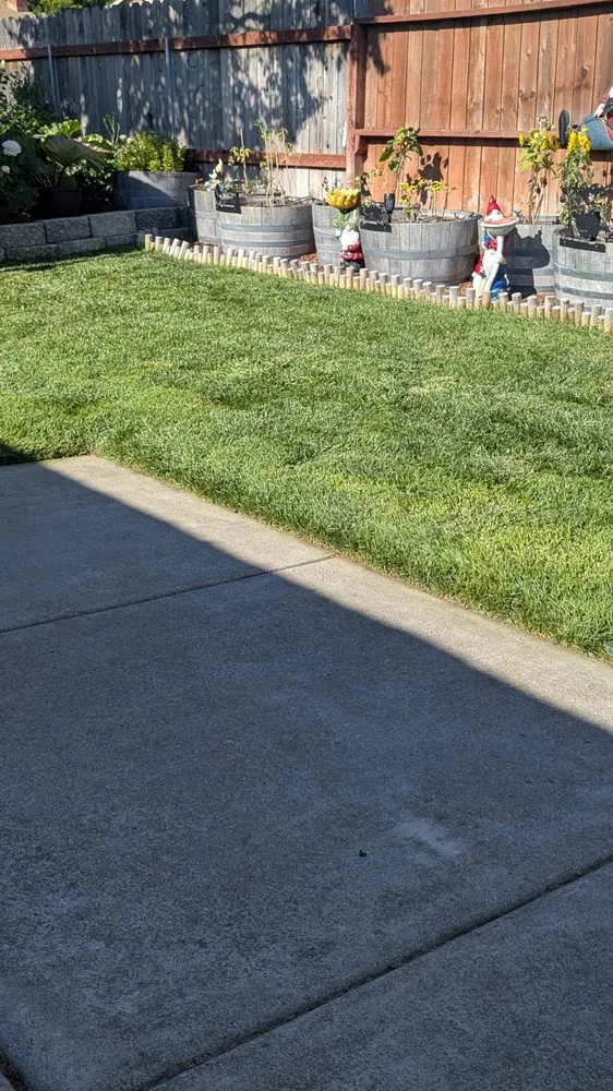 Reliable residential landscaping in Vacaville, CA by The Kings Of The Gardens