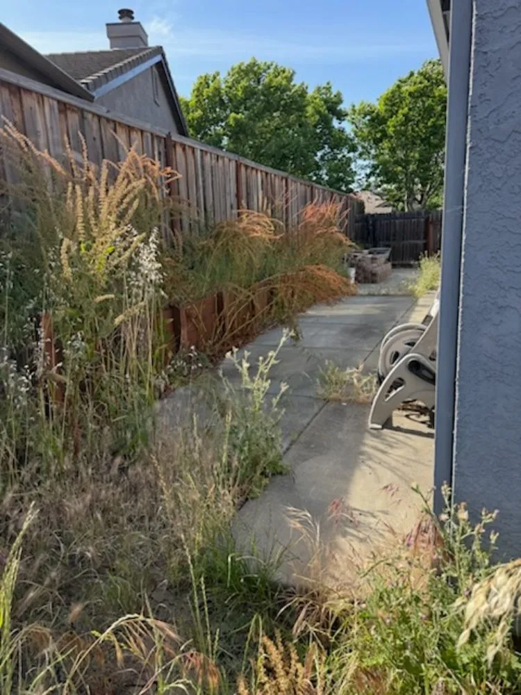 Professional lawn care service experts serving Vacaville, CA - The Kings Of The Gardens