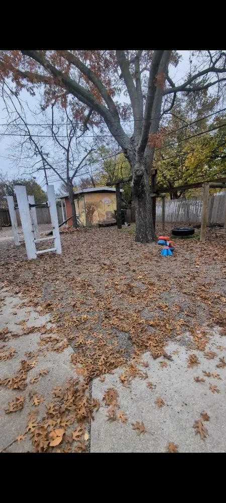 Trusted landscape design for year-round maintenance across Vacaville, CA - The Kings Of The Gardens