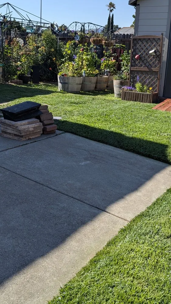 Top-rated landscape installation experts serving Vacaville, CA - The Kings Of The Gardens