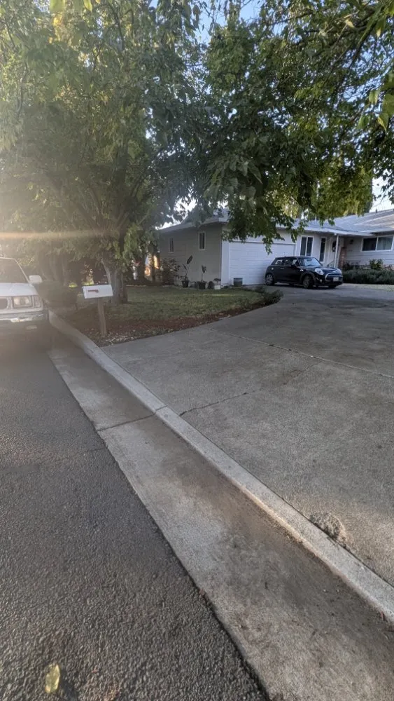 Local yard cleanup service for year-round maintenance across Vacaville, CA - The Kings Of The Gardens