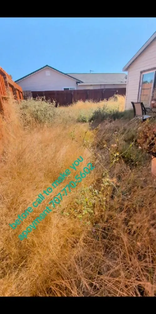 Reliable lawn care service for homes in Vacaville, CA by The Kings Of The Gardens