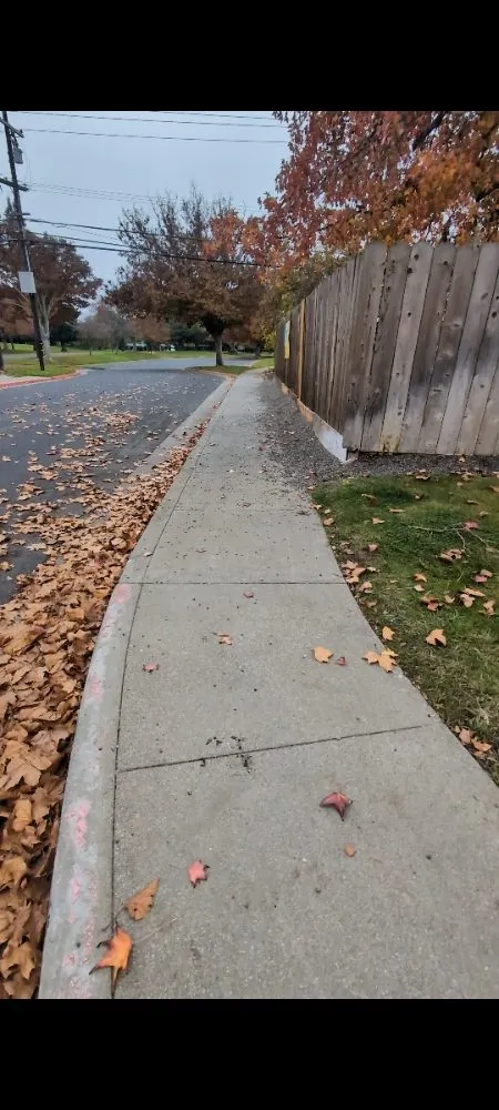 Affordable lawn care service in Vacaville, CA by The Kings Of The Gardens