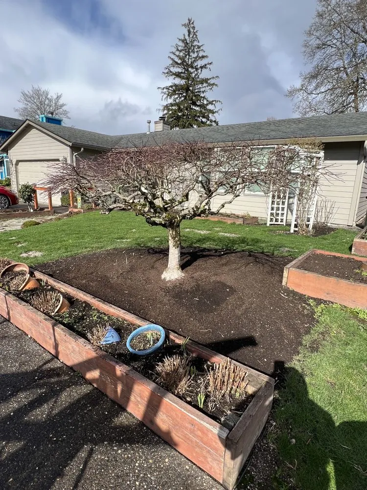 Professional landscape installation for year-round maintenance across Newberg, OR - The Kiosk Landscape