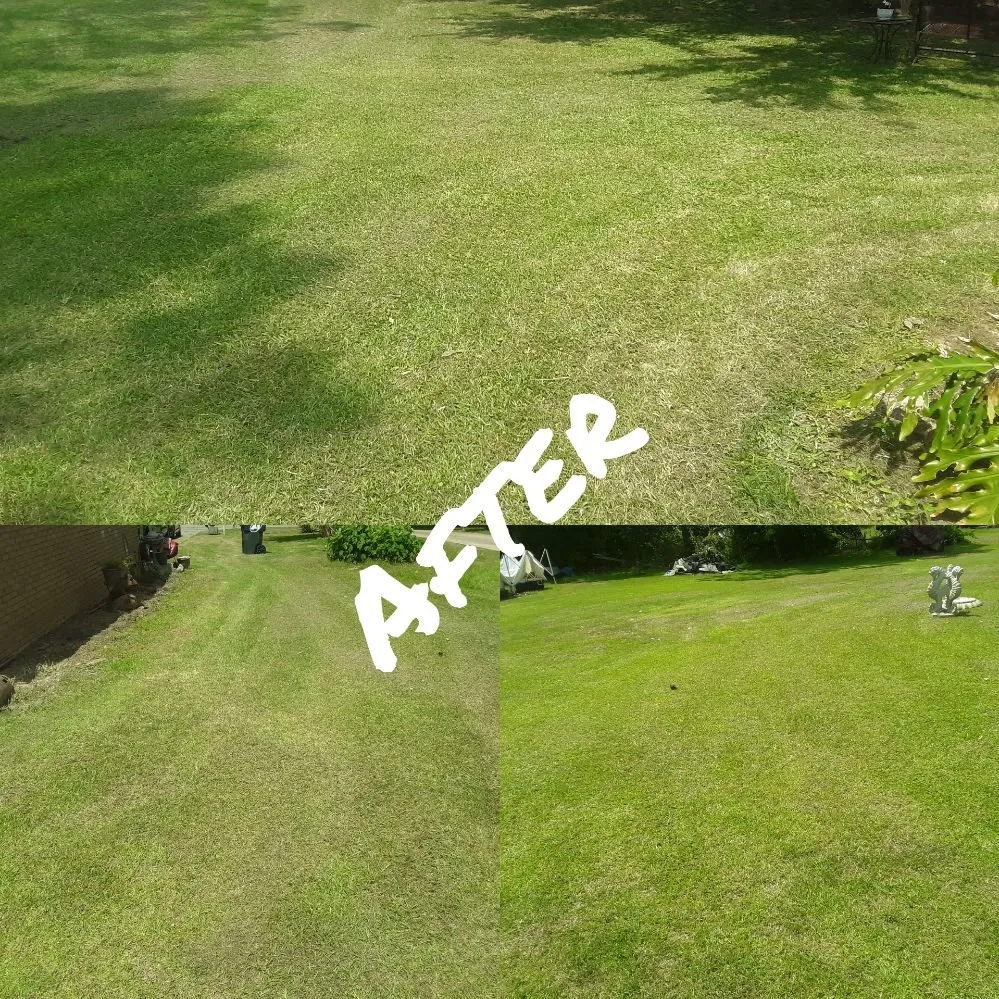 Top-rated landscape design for year-round maintenance across Pelham, GA - The Kleen Team