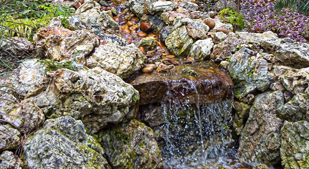 Professional garden landscaping in Monrovia, CA - The Koi Pond